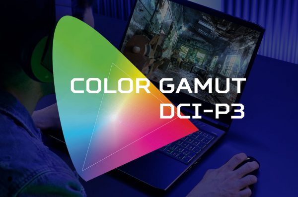 Mengapa Color Gamut DCI-P3 Penting Bagi Gamer?